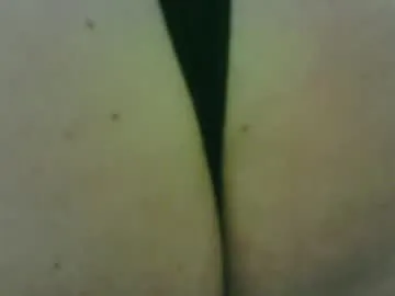 sissycrissy4545 on Chaturbate 