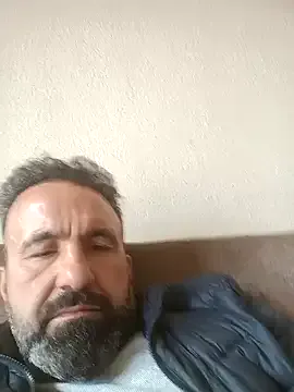 arda096 model from sc