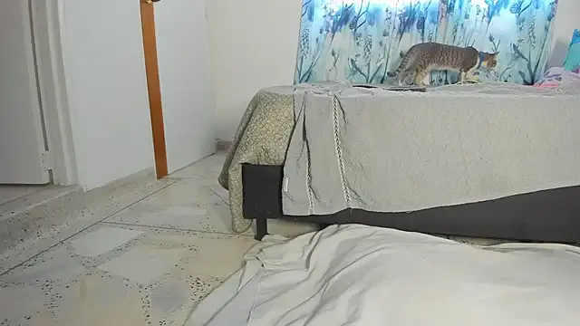 lily_evil on StripChat 