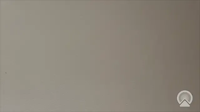 Shynesse21 model from sc