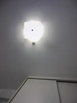 Toffee-00 on StripChat 